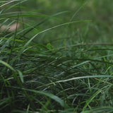 #color_Blue,Green,Cream,Grey