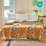 #color_Pattern - Warm Orange